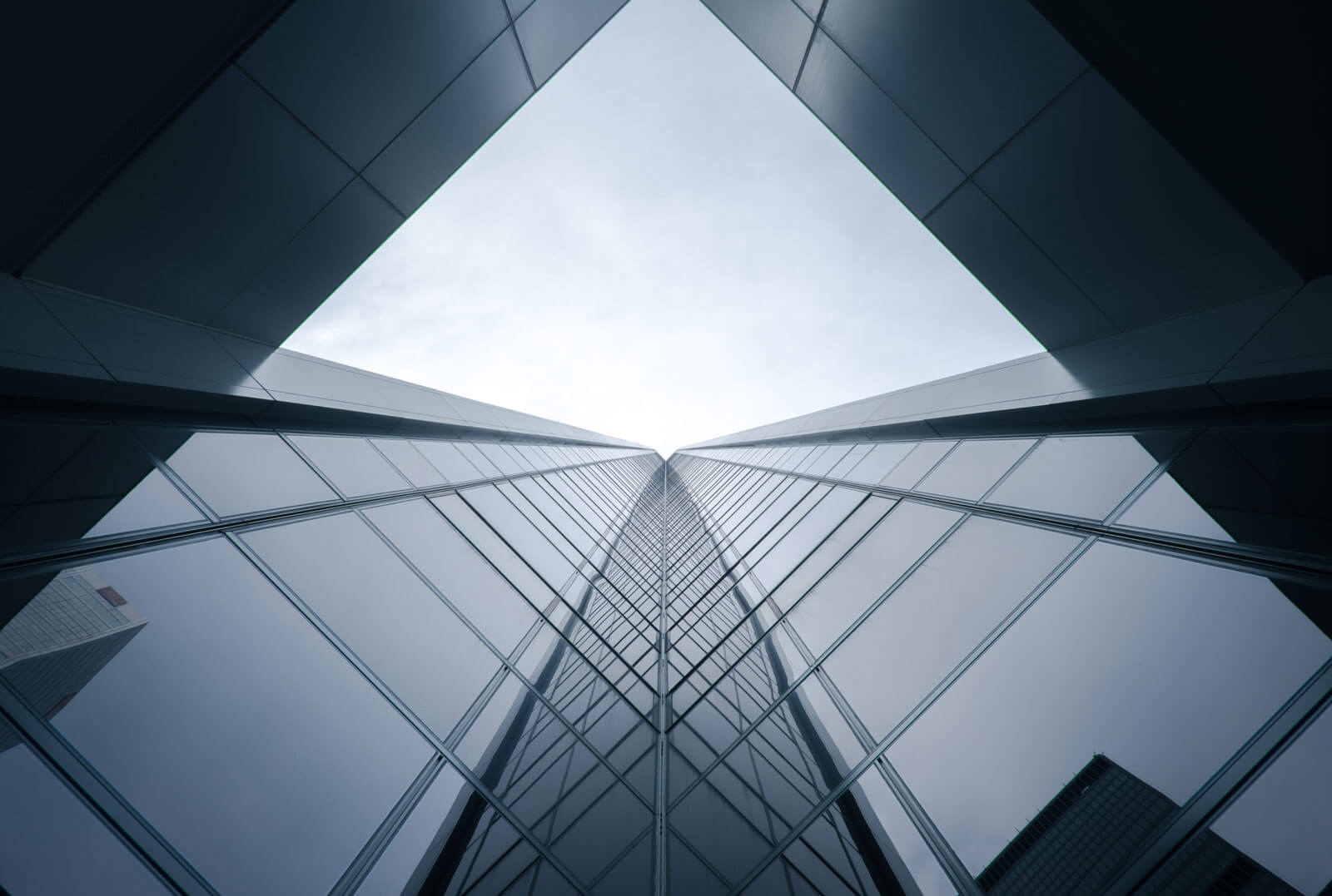Odoo • Texte et Image
